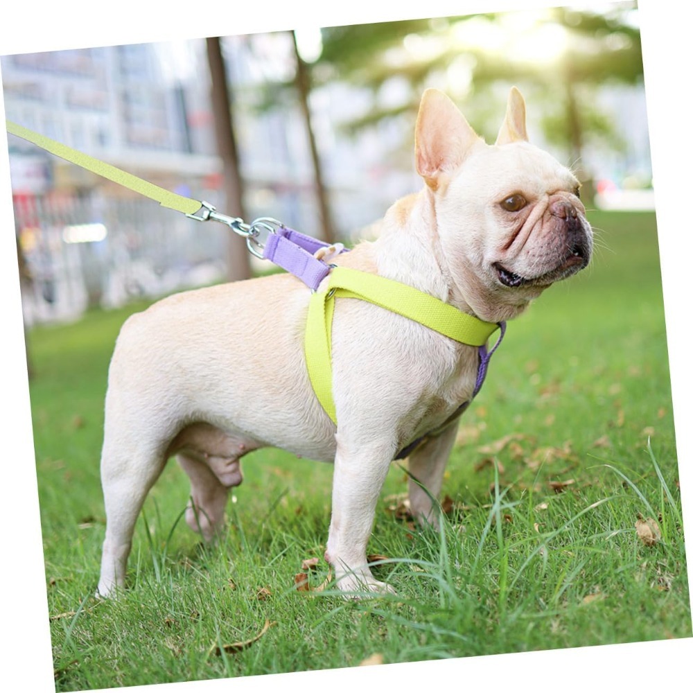 Dog Harness And Leash No Pull Nylon Pet Leashes For Small Dogs French Bulldog Chihuahua Lead Leash And Collar Set For Yorkies - Image 6